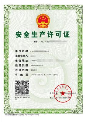 網絡技術服務企業咨詢案例解析 從戰略優化到技術落地